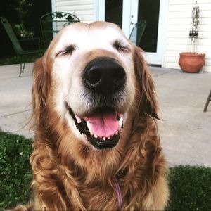 Meet your Posher, Tori